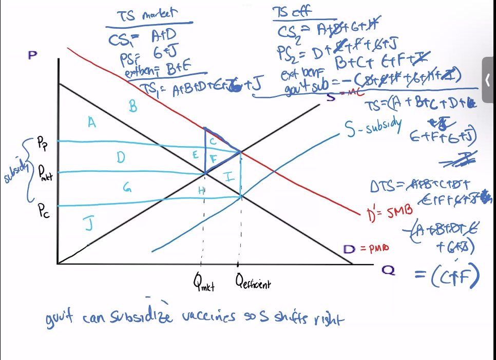 <p>Positive Externality (vaccines)</p>