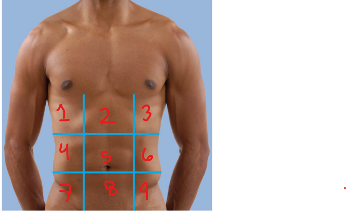 knowt flashcard image