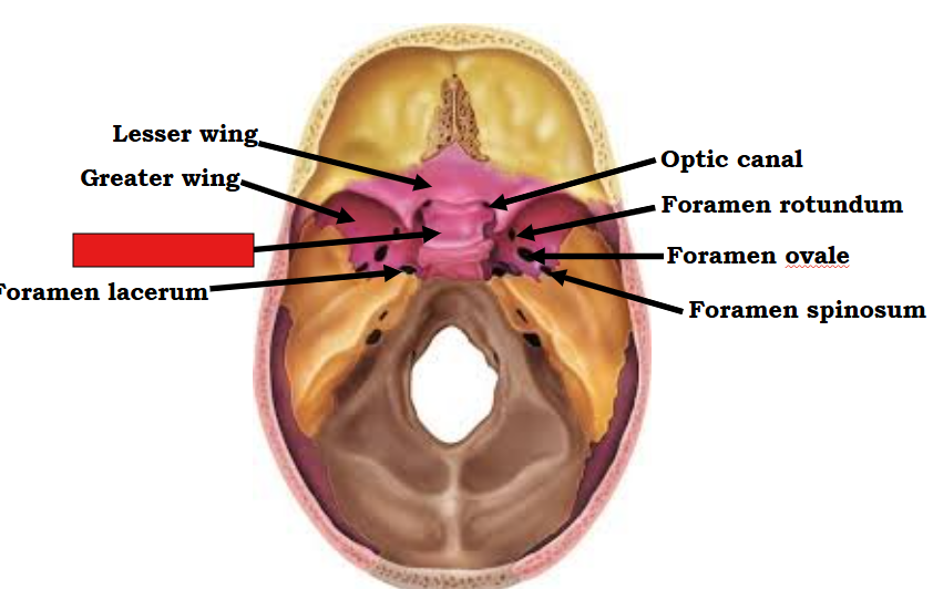 <p>fill in the red box:</p>
