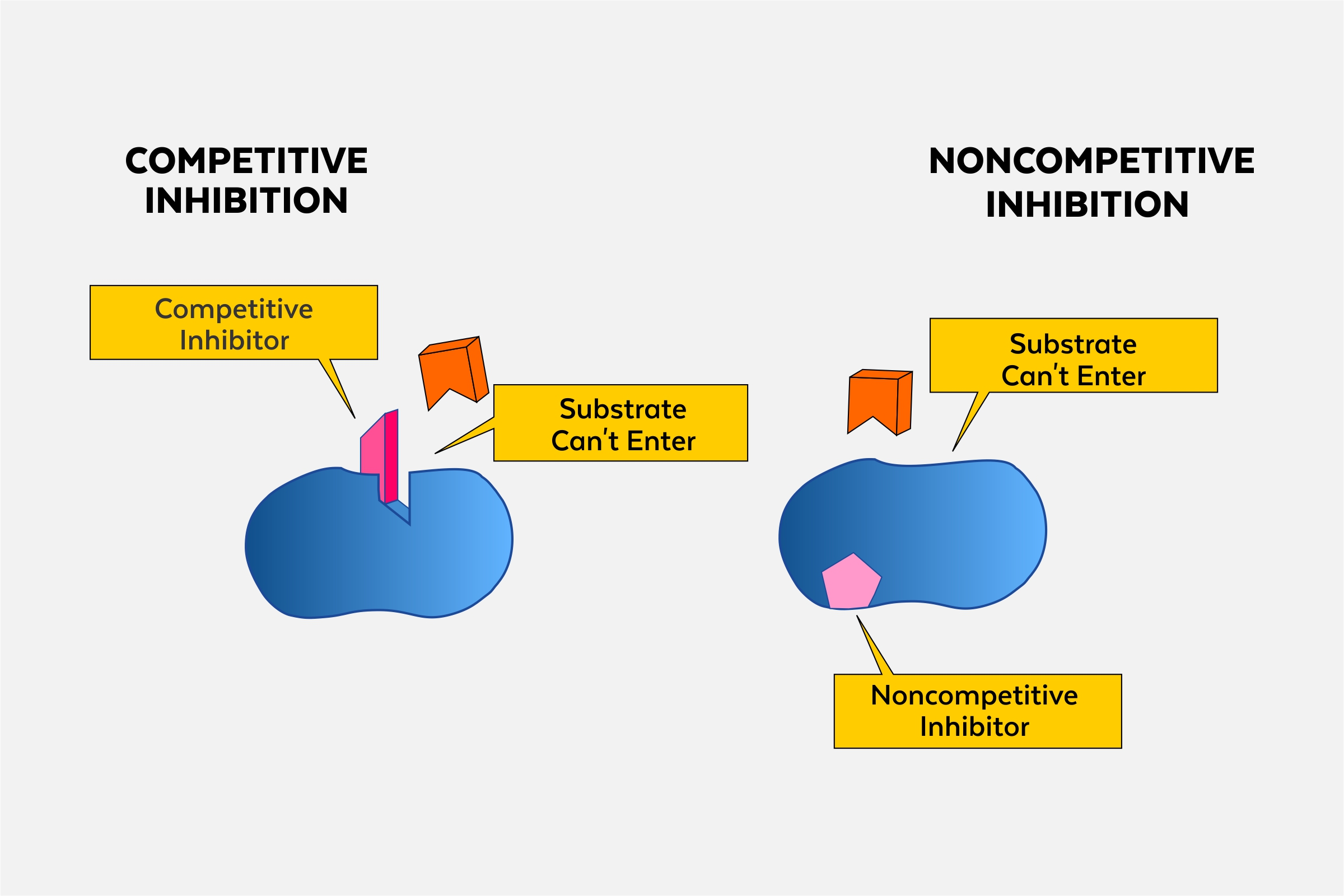 <p><strong>Enzyme inhibitors</strong> are chemicals that bind to the enzyme and stop or slow down the activity of an enzyme. </p>