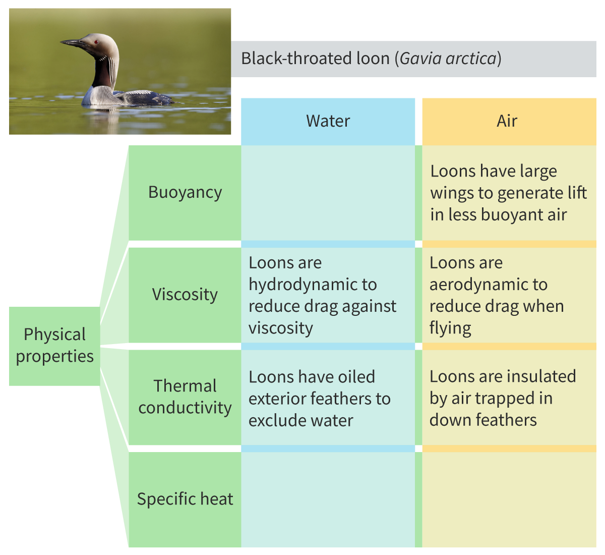knowt flashcard image