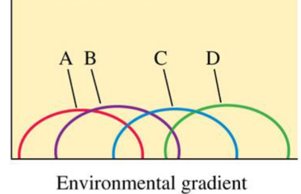 <ul><li><p>AKA Continuum View</p></li><li><p>Groups of species coincidental</p></li><li><p>Plant communities composed of species that are each responding to the environment based on their individual characteristics</p></li></ul>