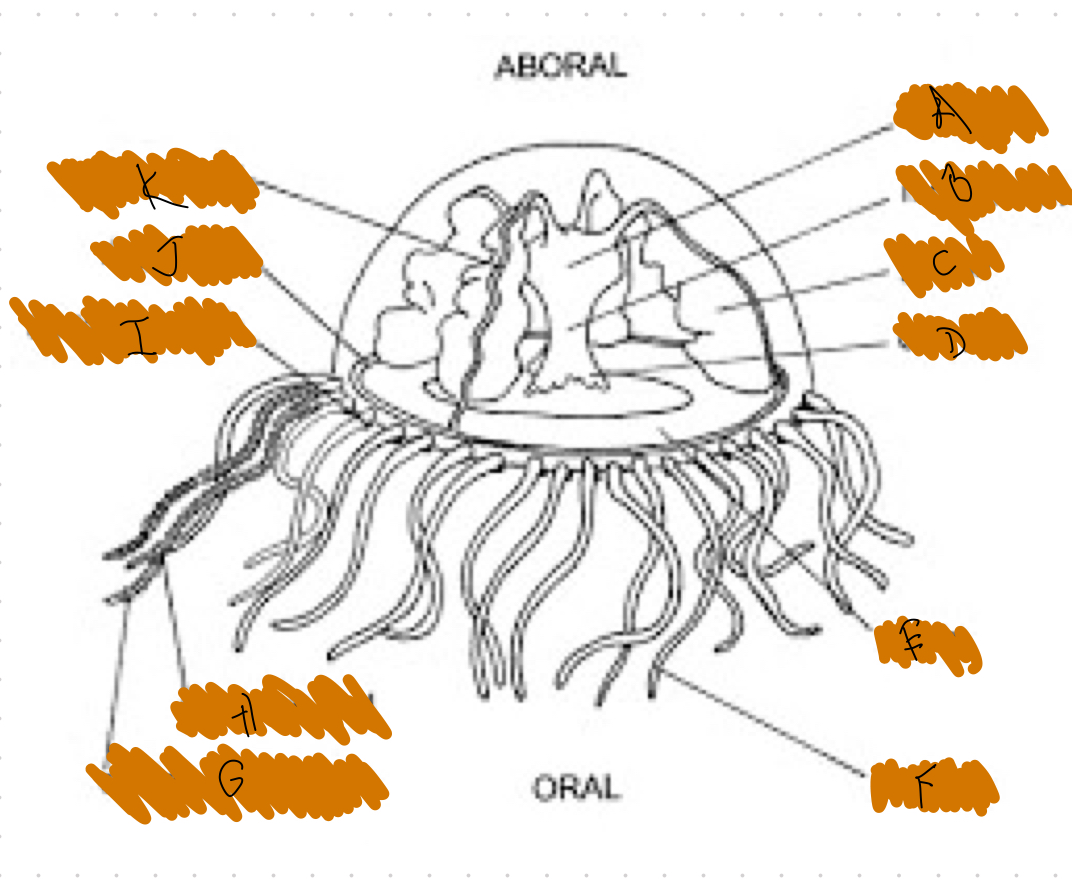 <p>What is E?</p>