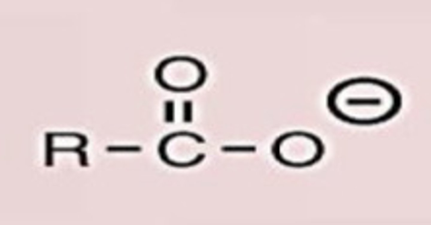 <p>Conj. Base</p>