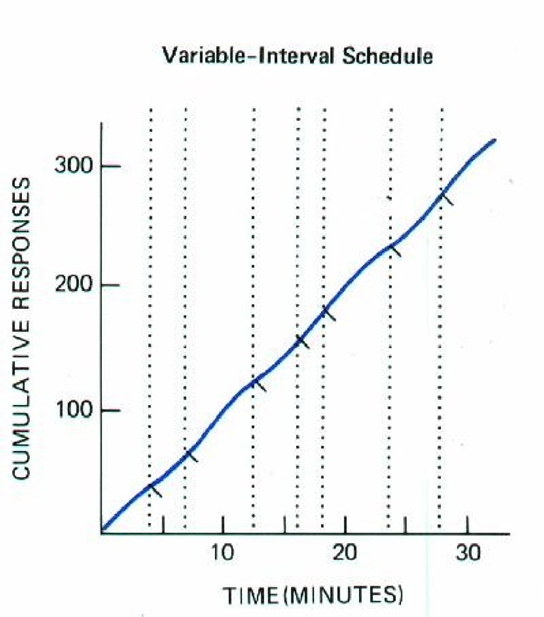 <p>(D) Variable-interval</p><p>Giving your cat a treat at random times is an example of a variable-interval schedule because it is based on a random time table and not on number of actions.</p>