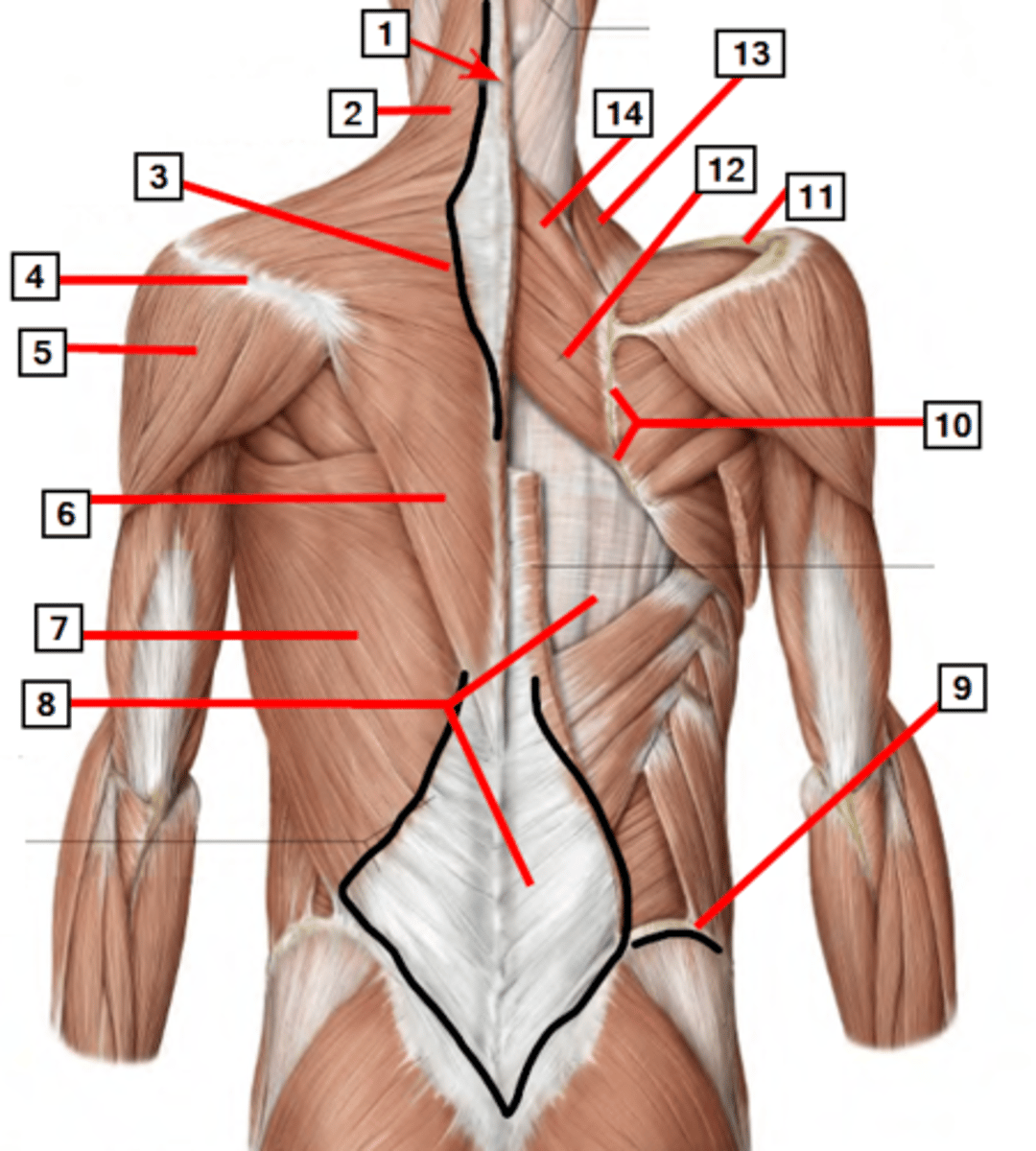 <p>6</p>