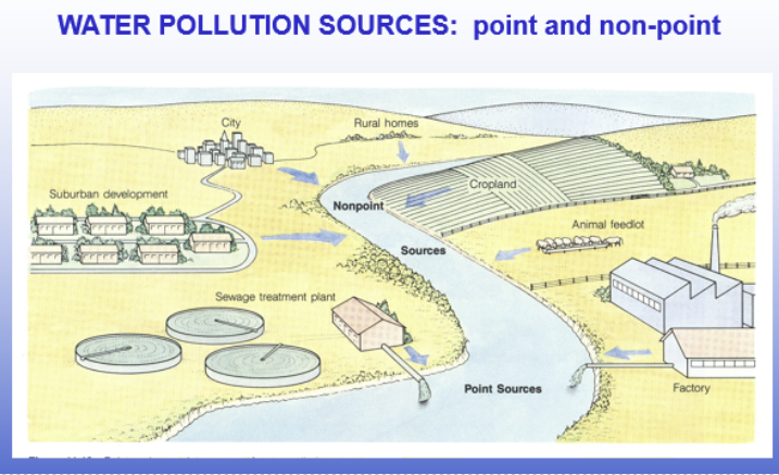 <p class="Paragraph SCXW112077135 BCX0" style="text-align: left;"><span style="line-height: 20.925px;">-General Zones </span></p><ul><li><p class="Paragraph SCXW112077135 BCX0" style="text-align: left;"><span style="line-height: 20.925px;">surface water </span></p></li></ul><ul><li><p class="Paragraph SCXW112077135 BCX0" style="text-align: left;"><span style="line-height: 20.925px;">ground water </span></p></li></ul><p class="Paragraph SCXW112077135 BCX0" style="text-align: left;"><span style="line-height: 20.925px;">-general sources </span></p><ul><li><p class="Paragraph SCXW112077135 BCX0" style="text-align: left;"><span style="line-height: 20.925px;">non-point sources </span></p><ul><li><p class="Paragraph SCXW112077135 BCX0" style="text-align: left;"><span style="line-height: 20.925px;">non-point is run off, when its not coming from an actual tube or pipe </span></p></li></ul></li></ul><p class="Paragraph SCXW112077135 BCX0" style="text-align: left;"><span style="line-height: 20.925px;">-point sources </span></p><ul><li><p class="Paragraph SCXW112077135 BCX0" style="text-align: left;"><span style="line-height: 20.925px;">point source= landfills, septic systems, leaking spots, you can actually point to where its coming from </span></p></li></ul><p></p>
