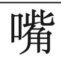 term image