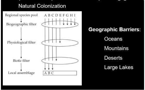 <ul><li><p class="Paragraph SCXW63562786 BCX0" style="text-align: left;"><span style="line-height: 20.925px;"><span>what prevents species from dispersing globally? </span></span></p></li></ul><ul><li><p class="Paragraph SCXW63562786 BCX0" style="text-align: left;"><span style="line-height: 20.925px;"><span>Establishment requires dispersal across barriers, colonization in acceptable number, and successful reproduction </span></span></p></li></ul><p></p>