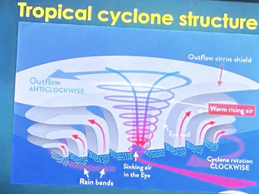 <ul><li><p><span style="background-color: transparent;">It is the area of the lowest atmospheric pressure in the structure of a tropical cyclone.</span></p></li><li><p><span style="background-color: transparent;">20-65 km wide</span></p></li><li><p><span style="background-color: transparent;">Weak winds</span></p></li><li><p><span style="background-color: transparent;">Warm temperature</span></p></li></ul><p></p>