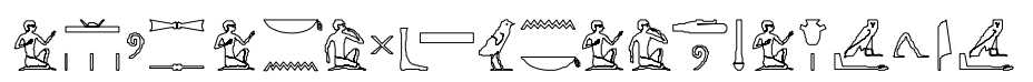 term image