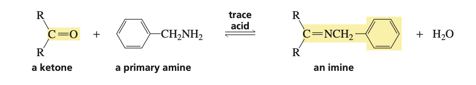 <p>primary amine (H2NR) and trace acid</p>