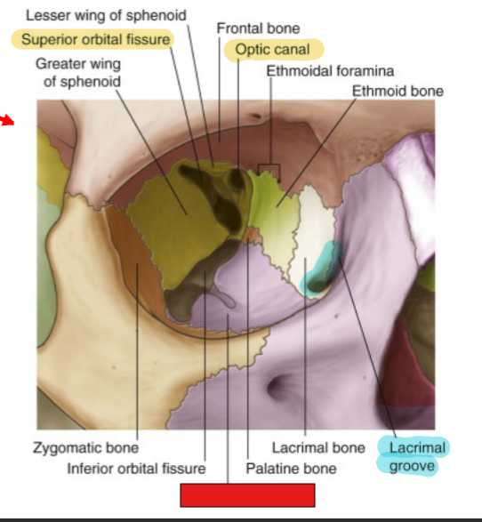 <p>fill in the red box:</p>