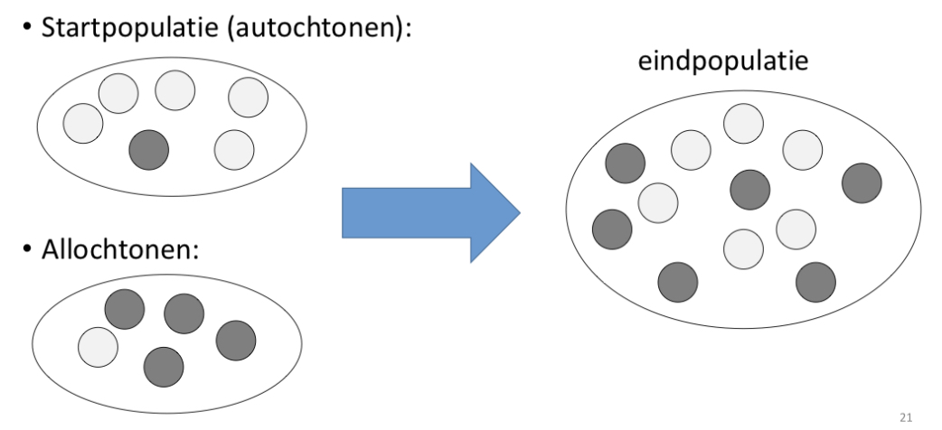 - Autochtone populatie gaat mixen met de allochtone populatie
- Gaat verandering van de allelfrequentie teweeg brengen (\=delta q)
