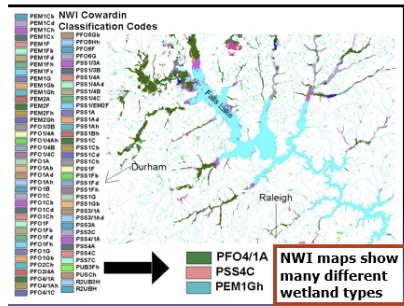 <p><span>the U.S. Fish and Wildlife service’s national wetland inventory (NWI) uses what is called the Cowardin classification to classify wetlands. This classification system is used by scientists and resource managers nationwide. This complex system can be difficult for the average user to interpret&nbsp;&nbsp;</span></p>