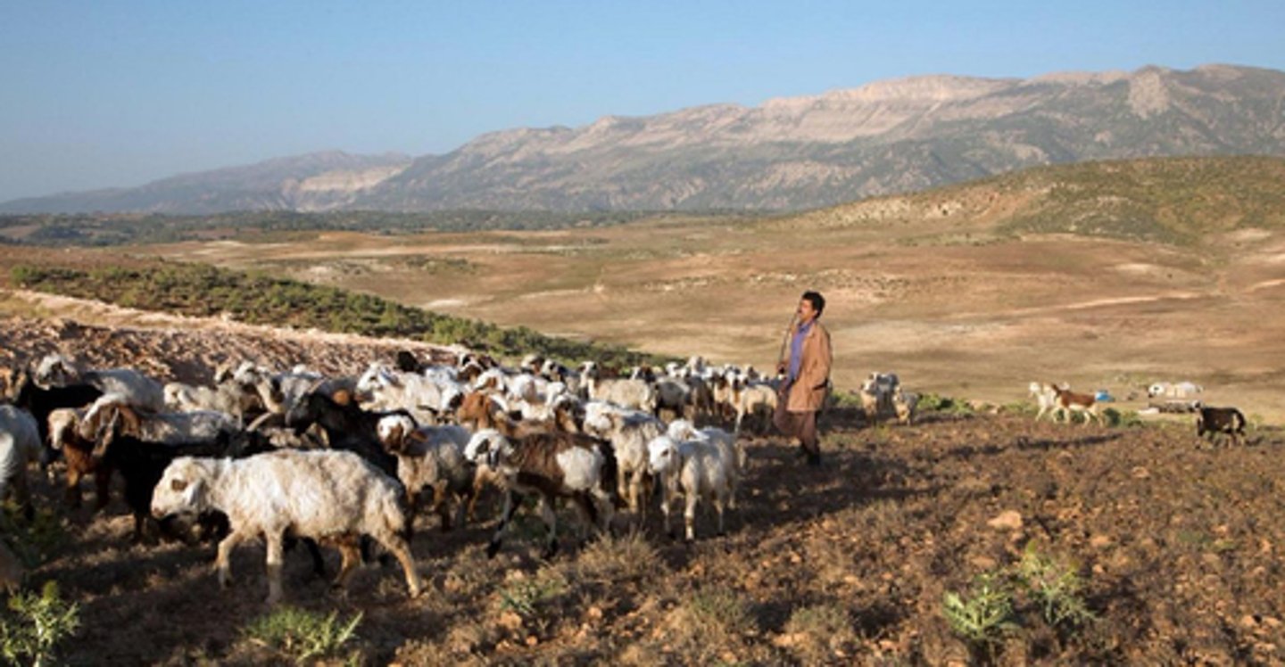 <p>Using a large amount of land to farm food for the farmer's family to eat.</p>