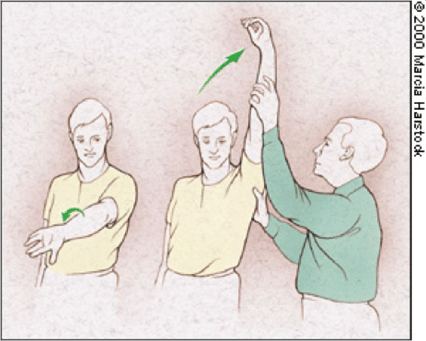 <p>passive shoulder elevation in scapular plane with IR</p>