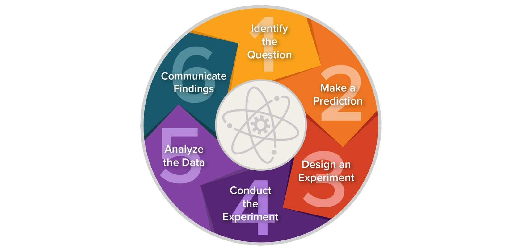 <ol><li><p>identify the question</p></li><li><p>make a prediction</p></li><li><p>design an experiment</p></li><li><p>conduct the experiment</p></li><li><p>analyze the data</p></li><li><p>communicate findings</p></li></ol><p></p>