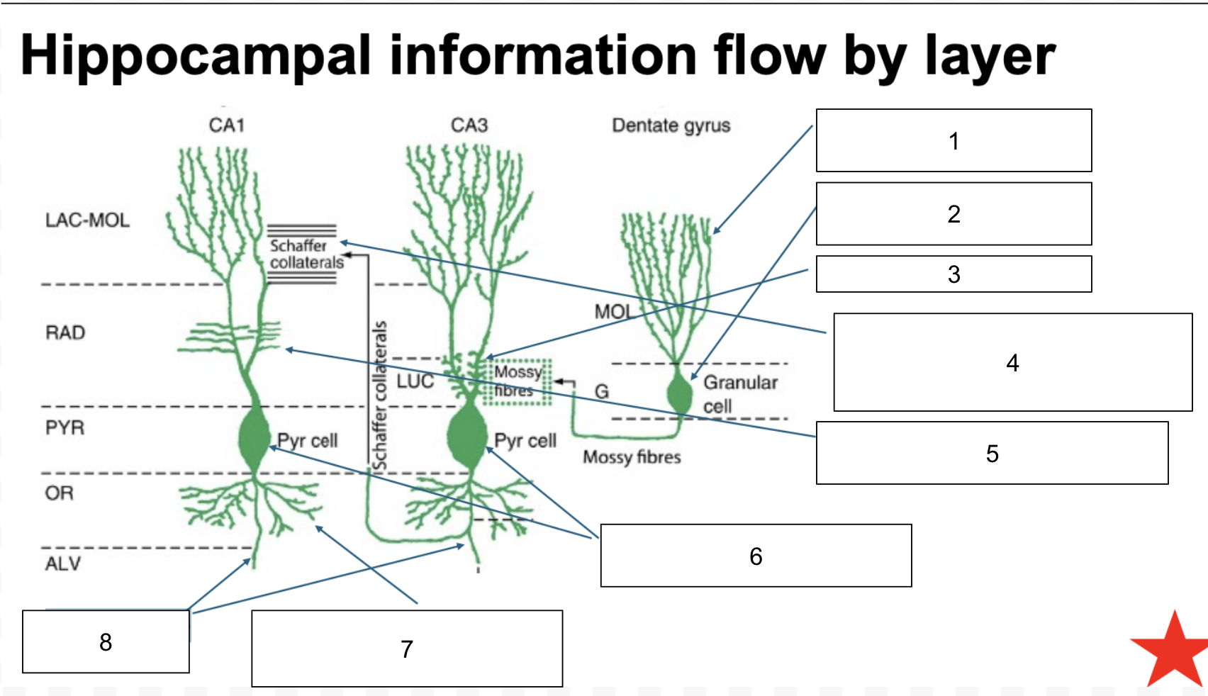 <p>Label this diagram:</p>