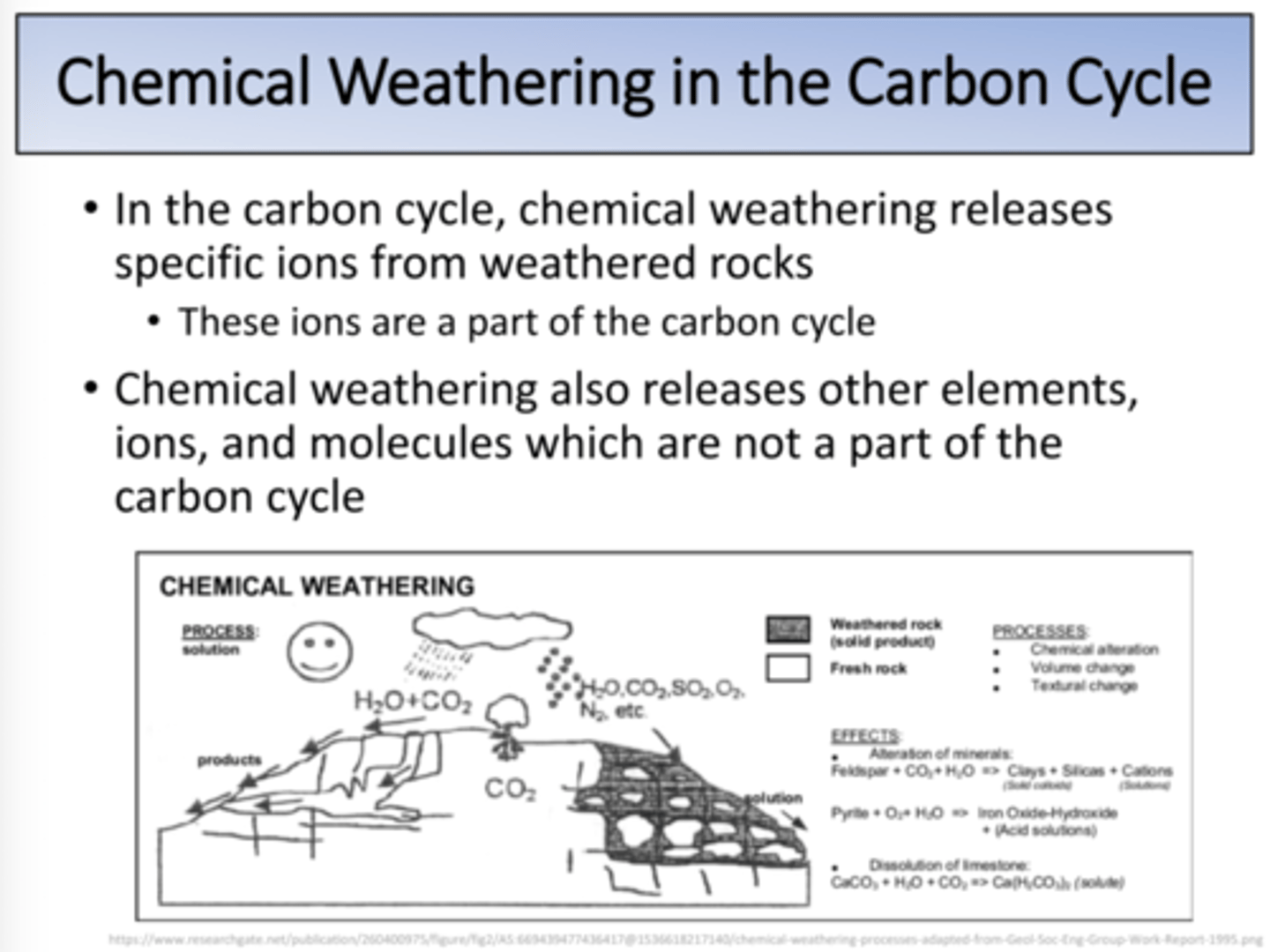 <p>... would be more active in cold weather as cold water can hold more CO2</p>