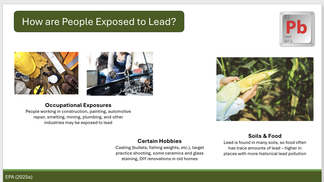 <p>Describe how people are exposed to lead (Pb)</p>