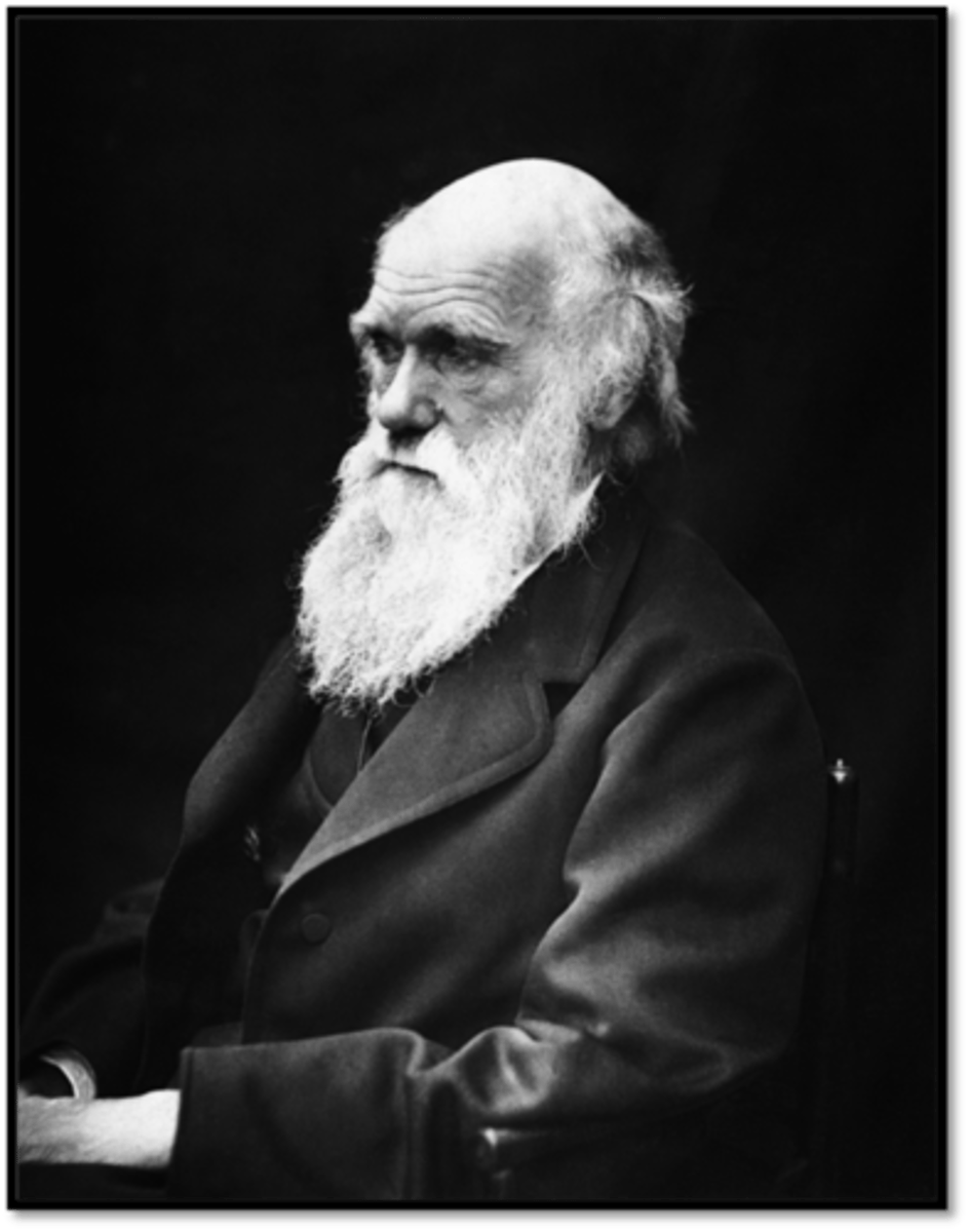 <p>English natural scientist who formulated a theory of evolution by natural selection (1809-1882)</p>