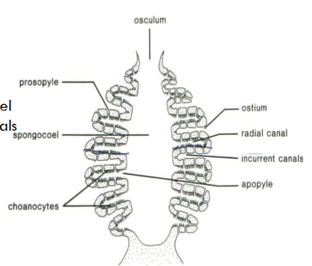 <p>What canal system is this?</p>