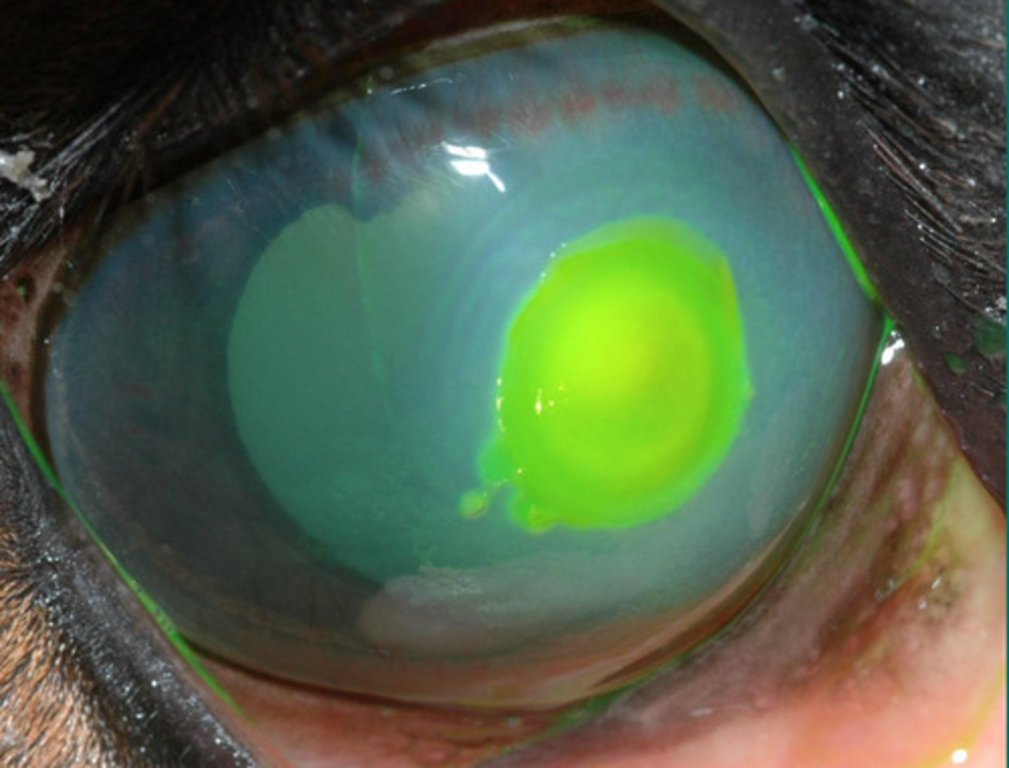 <p>Describe what you are seeing?</p>