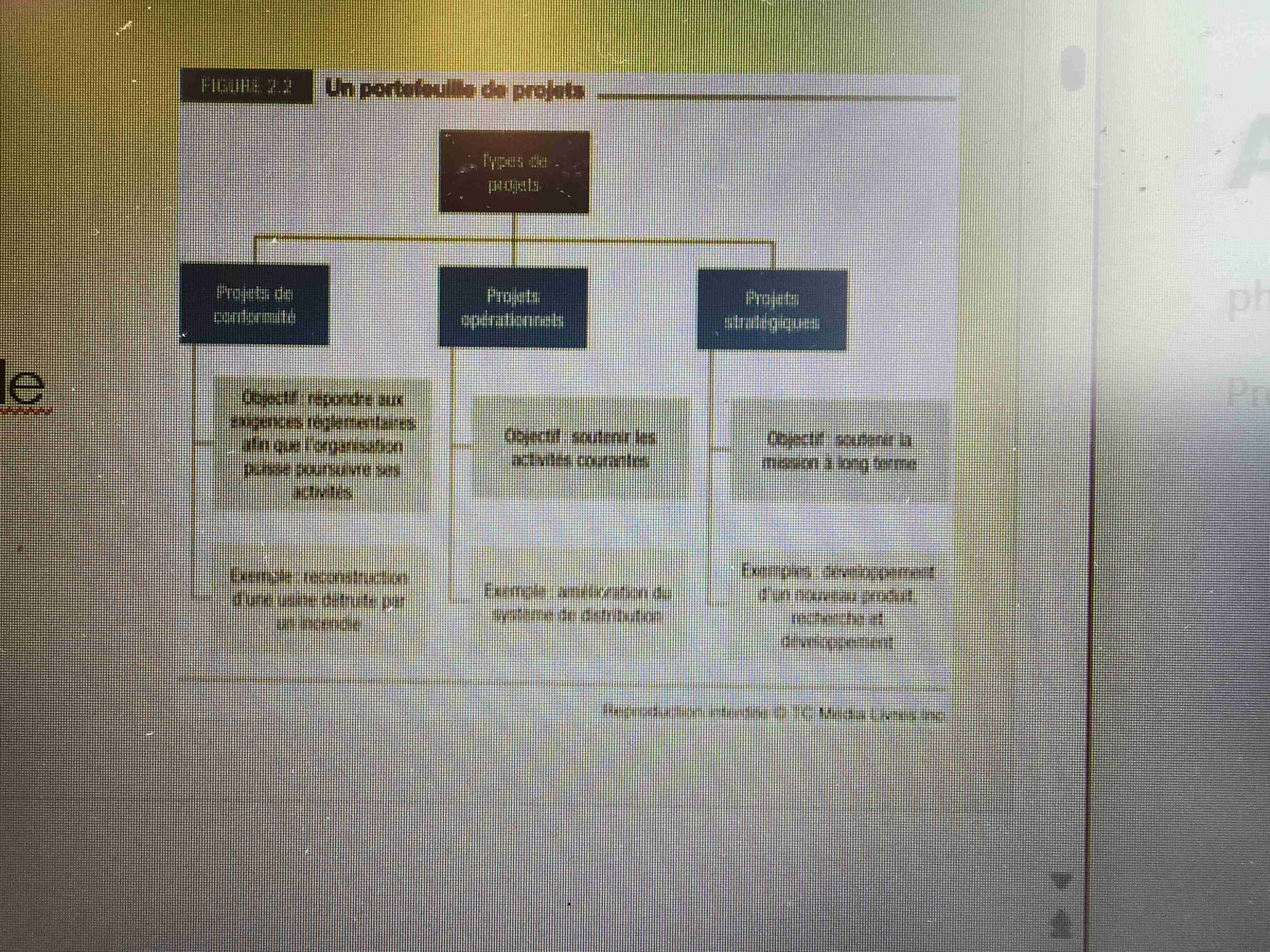 <p>Conformité: répondre aux exigences réglementaire afin que l’organisation puisse poursuivrez ses activités</p><p>Operationnel: soutenir les activités courantes</p><p>Stratégique: soutenir la mission à long terme</p><p>Classer les projets sert à mieux établir l’ordre de priorité et de budget </p>