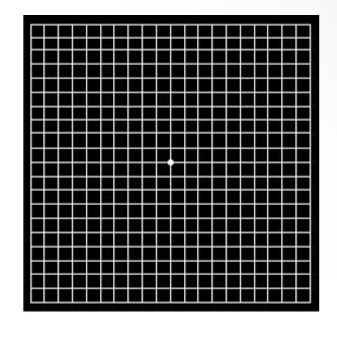 <p>What disease can this amsler chart detect</p>