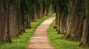 <p>A lane; A path</p><p>I always try to choose the right path.</p>