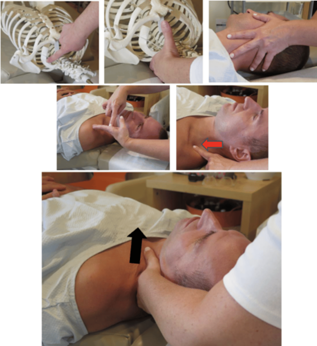 <p>• PP: Supine, permission to open gown/contact, identify finding segment</p><p>• DP: Standing at head end of the table , facing caudal, standing off to the side of contact at 45° angle, tissue slack can be drawn down onto contact (S-I) or from behind contact (P-A)</p><p>• CH: Index from same side as contact, on angle of first rib</p><p>• IH: #1, laterally flexing patients had over contact, rotating head away from contact 20%, with lateral flexion over contact</p><p>• LOD: S-I and L-M* R1</p>