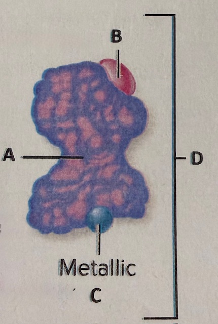 <p>label A</p>