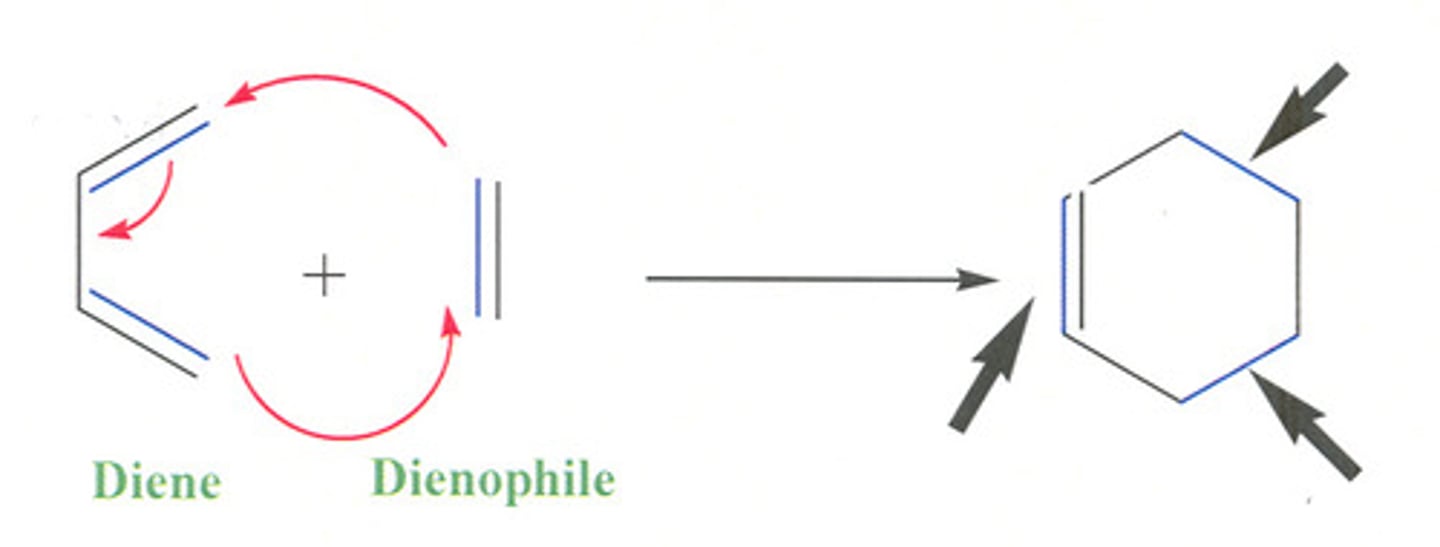 <p>pericyclic (ring-forming), concerted, only s-cis reacts</p>