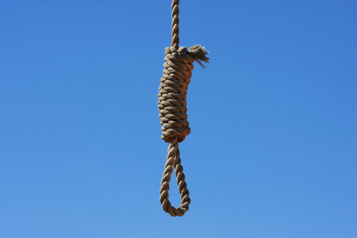 <p>(v) putting a person to death, usually by hanging, without legal authority.</p>