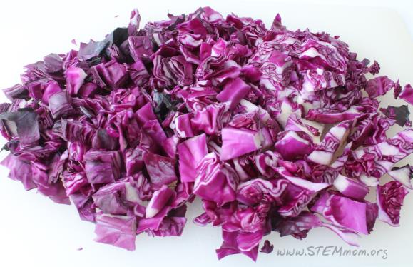 <p>In which lab activity do we use red cabbage?</p>