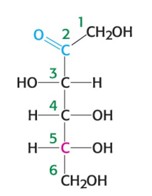 <p>What is the name of the sugar depicted in the image?</p>