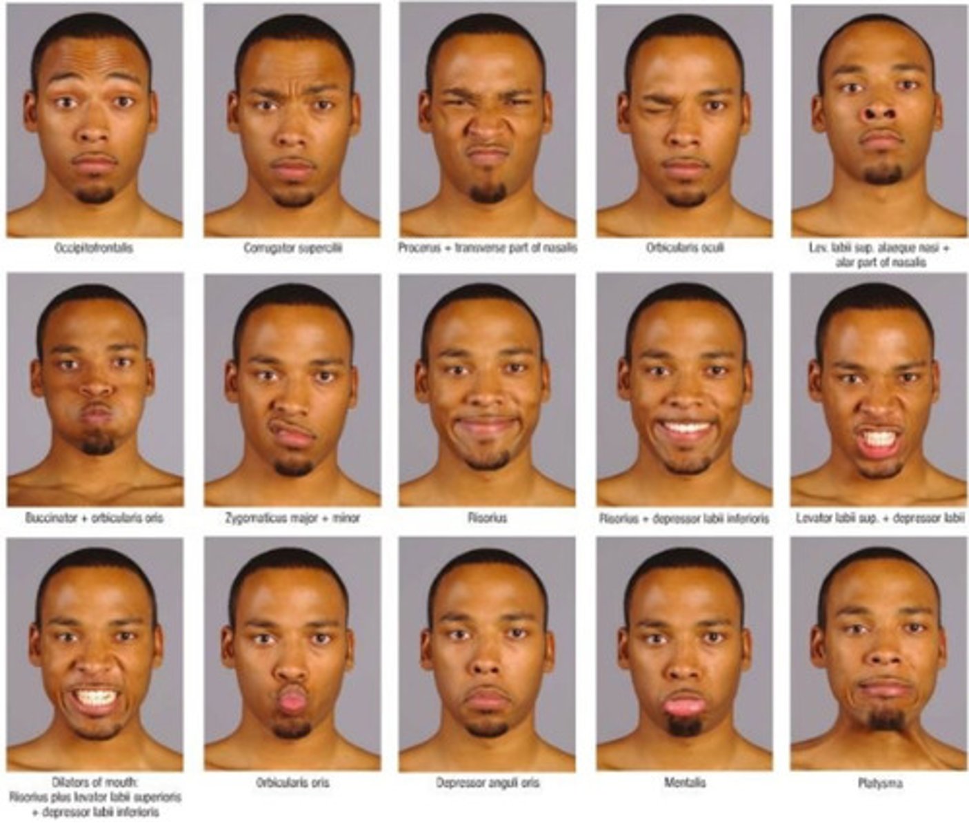 <p>Ask patient to make facial expressions can offer mild resistance</p>
