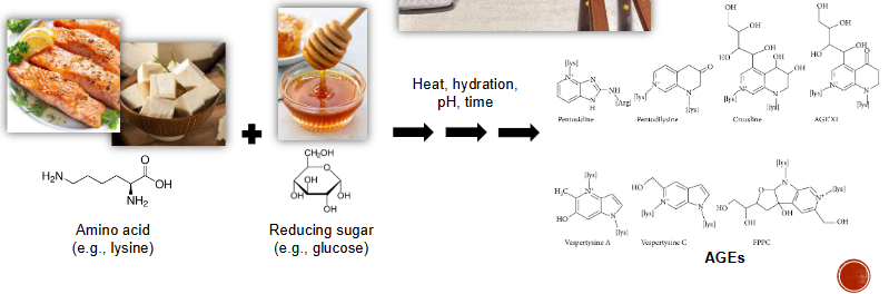 <ul><li><p>Main heat reaction to create AGE</p></li><li><p><strong>Amino Acid + reducing Sugar &gt;(heat, hydration, pH, time)&gt; AGEs</strong></p></li><li><p>Quantification of AGEs in baked vs. unbaked diets by LC-MS</p><ul><li><p>More MG-H1, CML, and CEL AGEs in baked food compared to unbaked food</p></li><li><p><strong>This reaction is used to bake toast</strong></p></li></ul></li></ul><p></p>