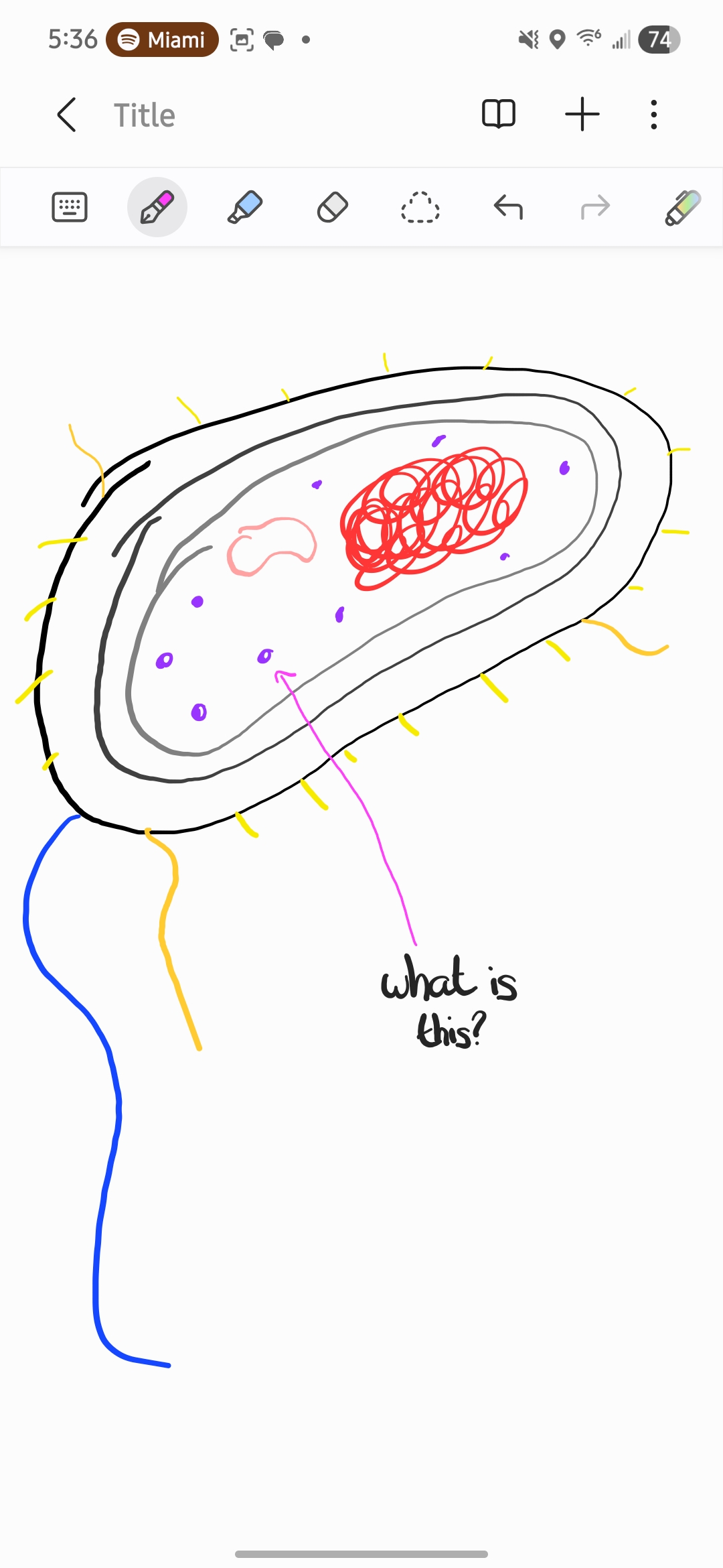 <p>What is this?</p>