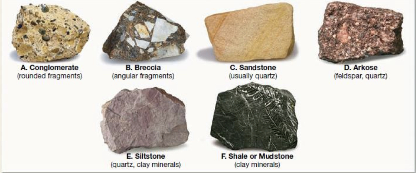 <ul><li><p>rocks formed from transported solid particles</p></li></ul>