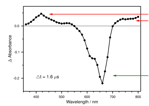 <p>What can be determined from this TRVIS spectrum under N<sub>2</sub>?</p>