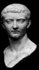 <p>portrait of a woman</p>