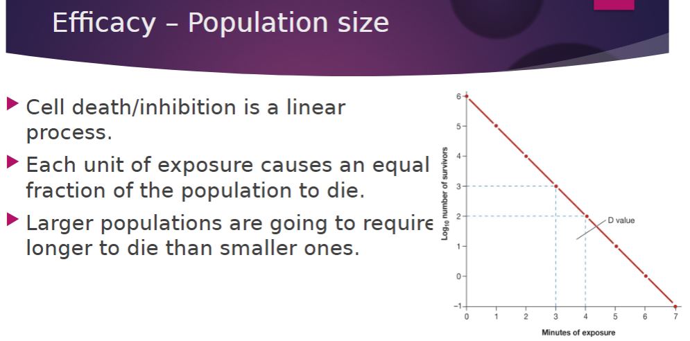 <p>Population size</p>