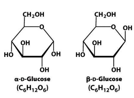 Differ at which asymmetric carbon is involved in ring closure 