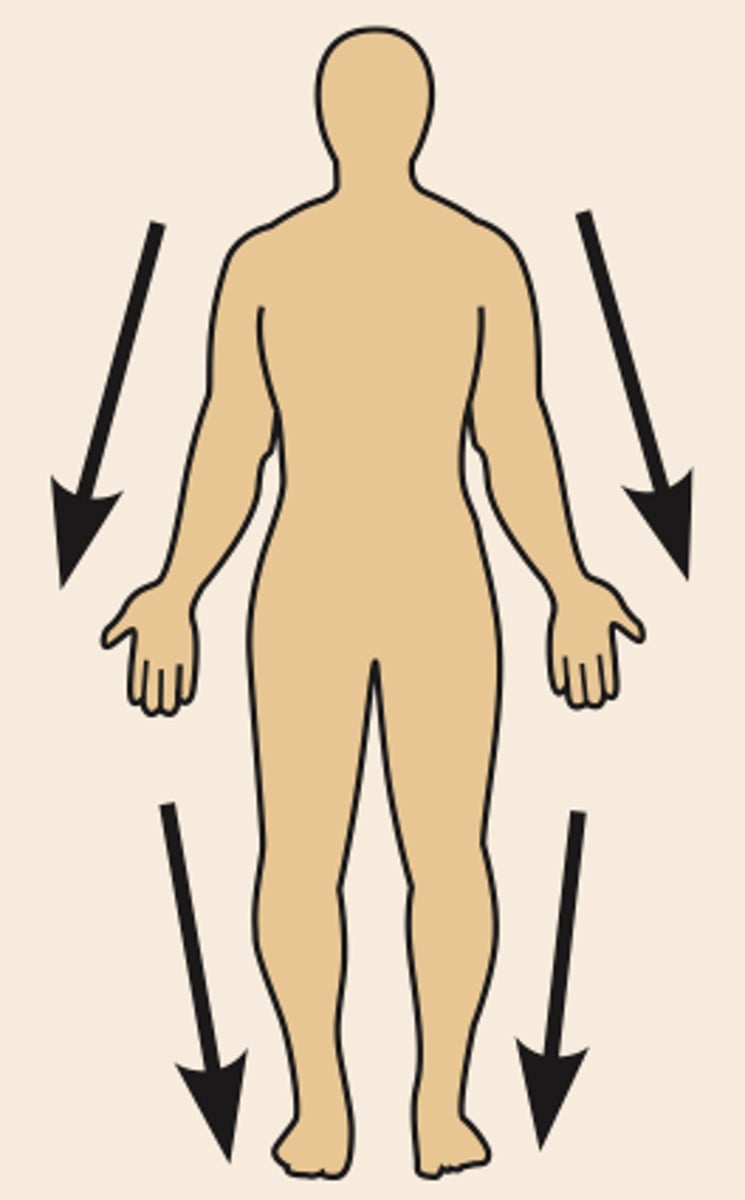 <p>Away from the point of attachment</p><p>Ex) The knee is distal to the thigh.</p>