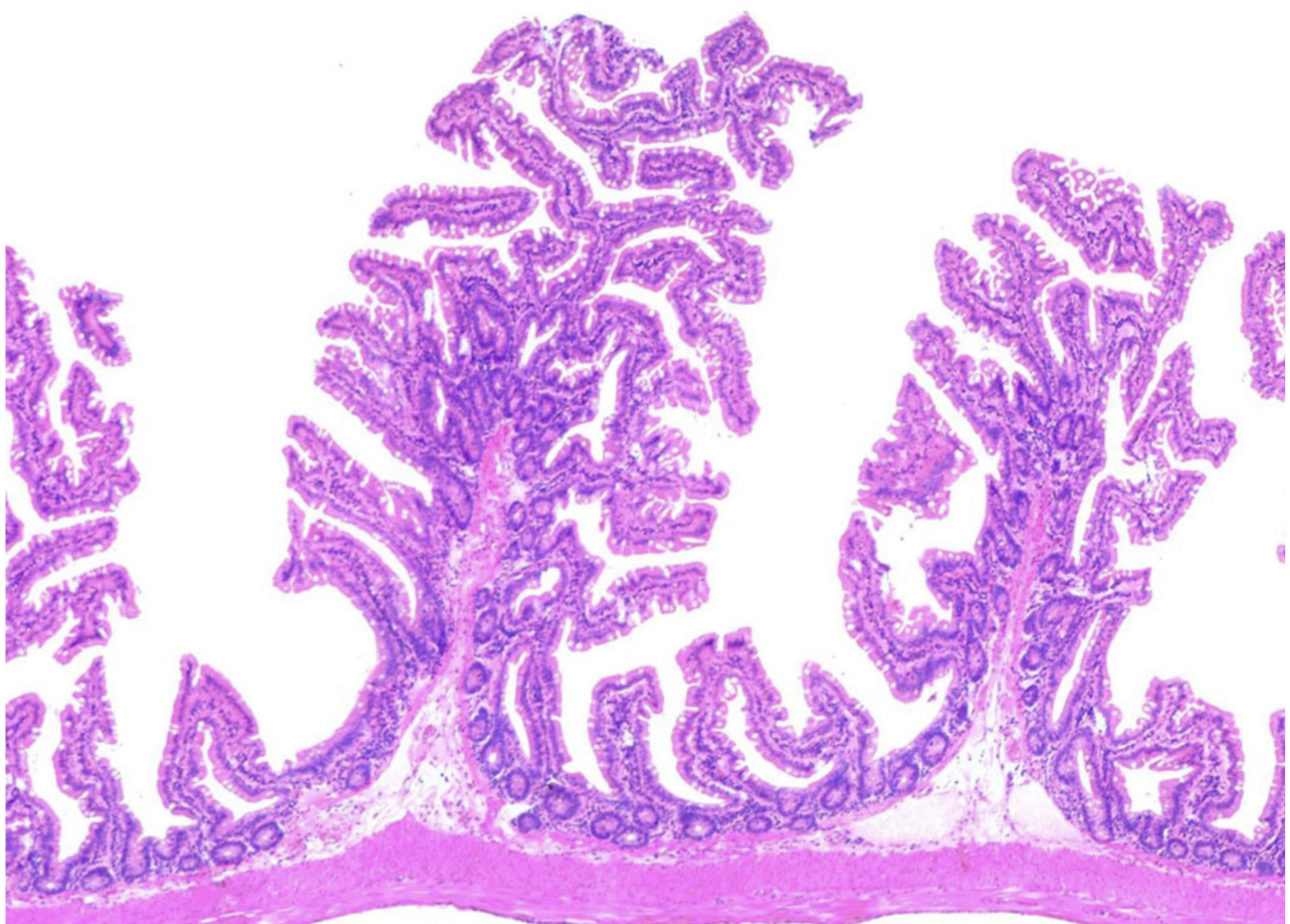 <p>ID the structure</p>