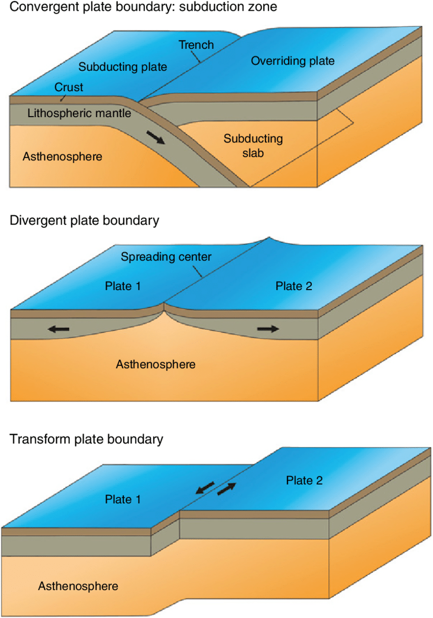 <p>plate boundary</p>