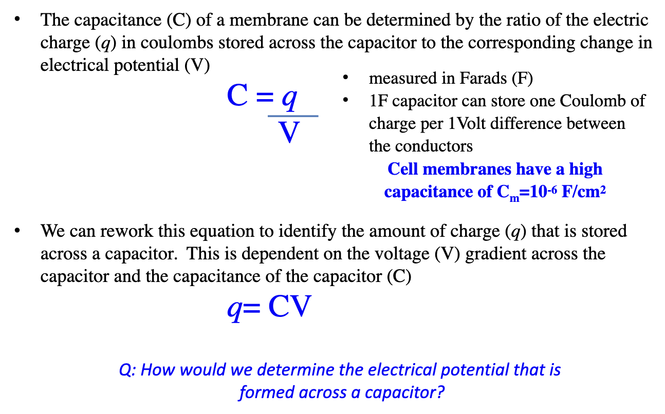 <ul><li><p>Formula: C = q/V</p><ul><li><p>q = electric charge in coulombs stored across the capacitor&nbsp;</p></li><li><p>V = difference in electrical potential</p></li></ul></li><li><p>Rearranged: q = CV (identify amount of charge stored across a capacitor)</p></li><li><p>1 Farad stores 1 Coulomb per 1 Volt</p></li><li><p>Biological membranes: <strong>C<sub>m</sub> = 10⁻⁶ F/cm²</strong></p></li></ul><p></p>