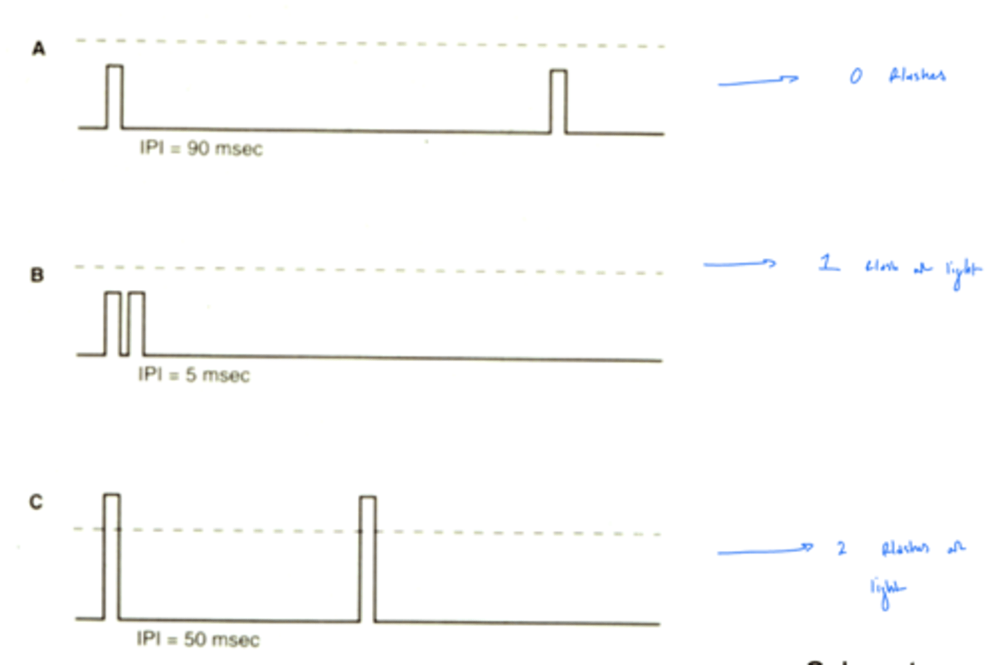 <p>2. two 5 luminance lights across 80 msecs</p><p>why? - add lights together, under 100 msec summation threshold</p>